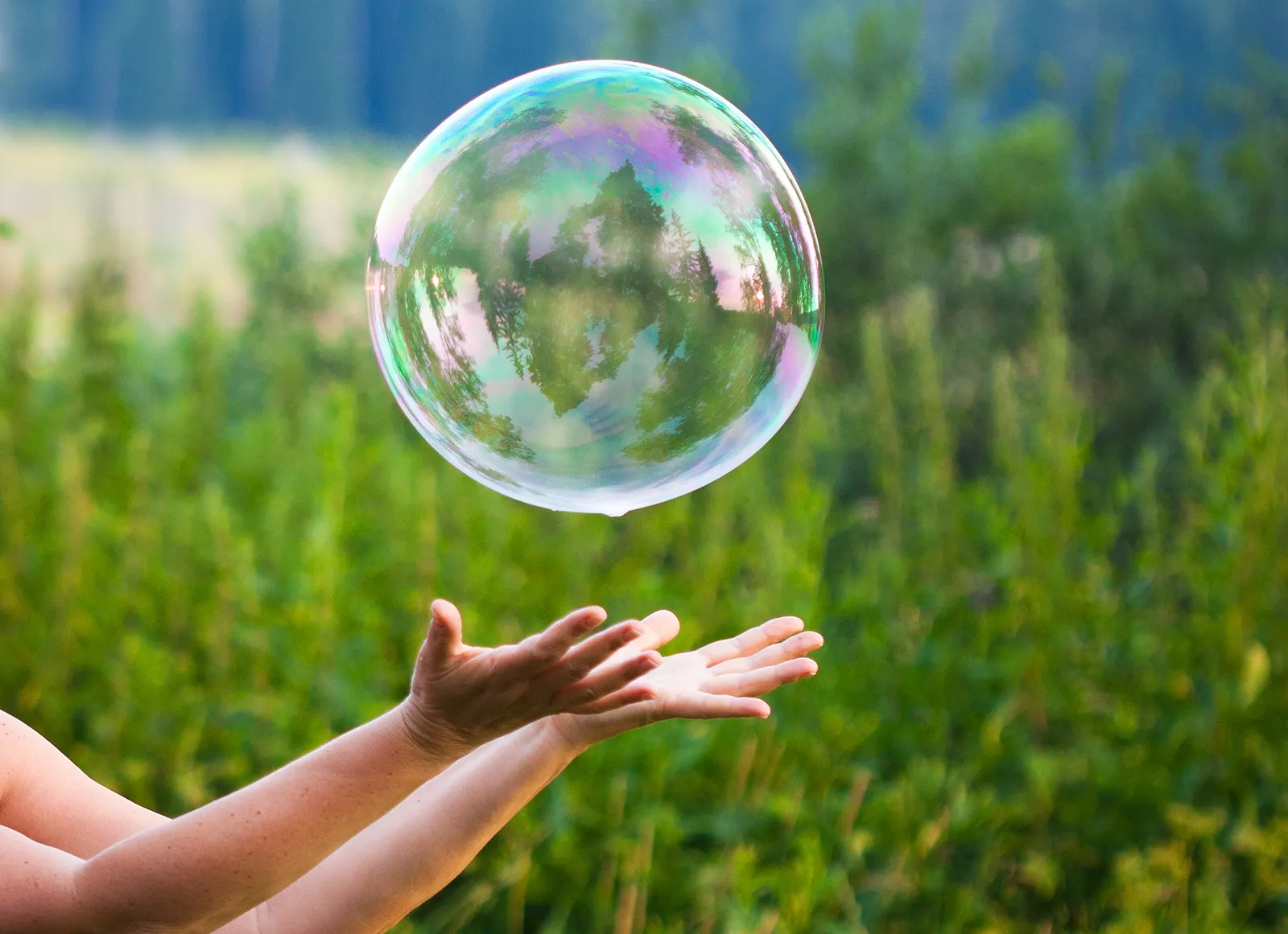 Vulnerability Teaser Image