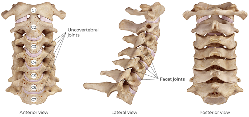 Images of the cervical spine from various angles.