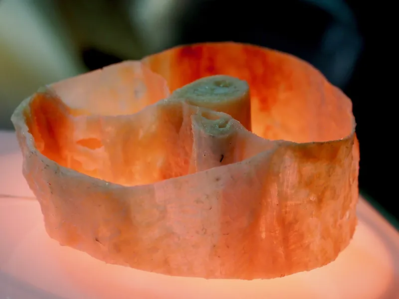 MJ_19_StructuralIntegration_PB120277_CrossSection_800