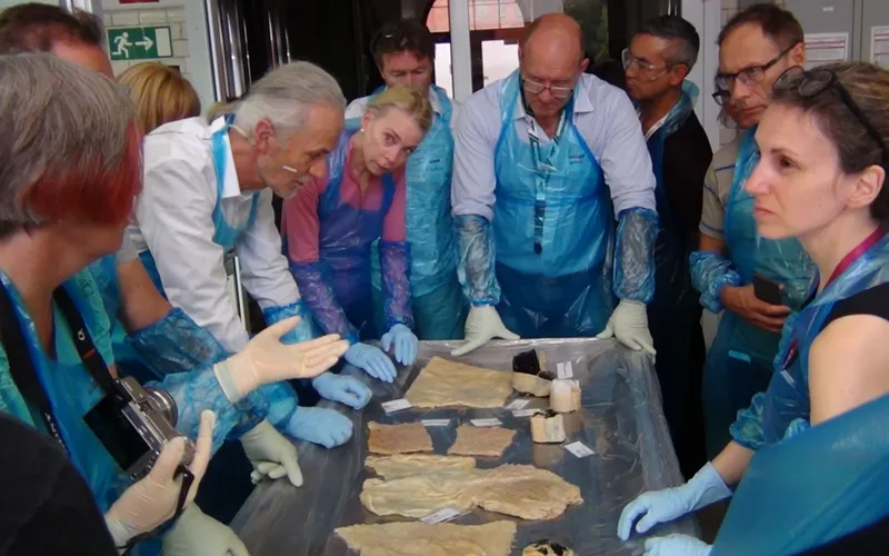 Human Fascia Plastination12