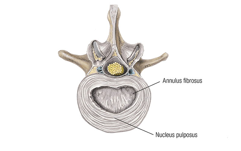 MJ_19_ClinicalExplorations1_800