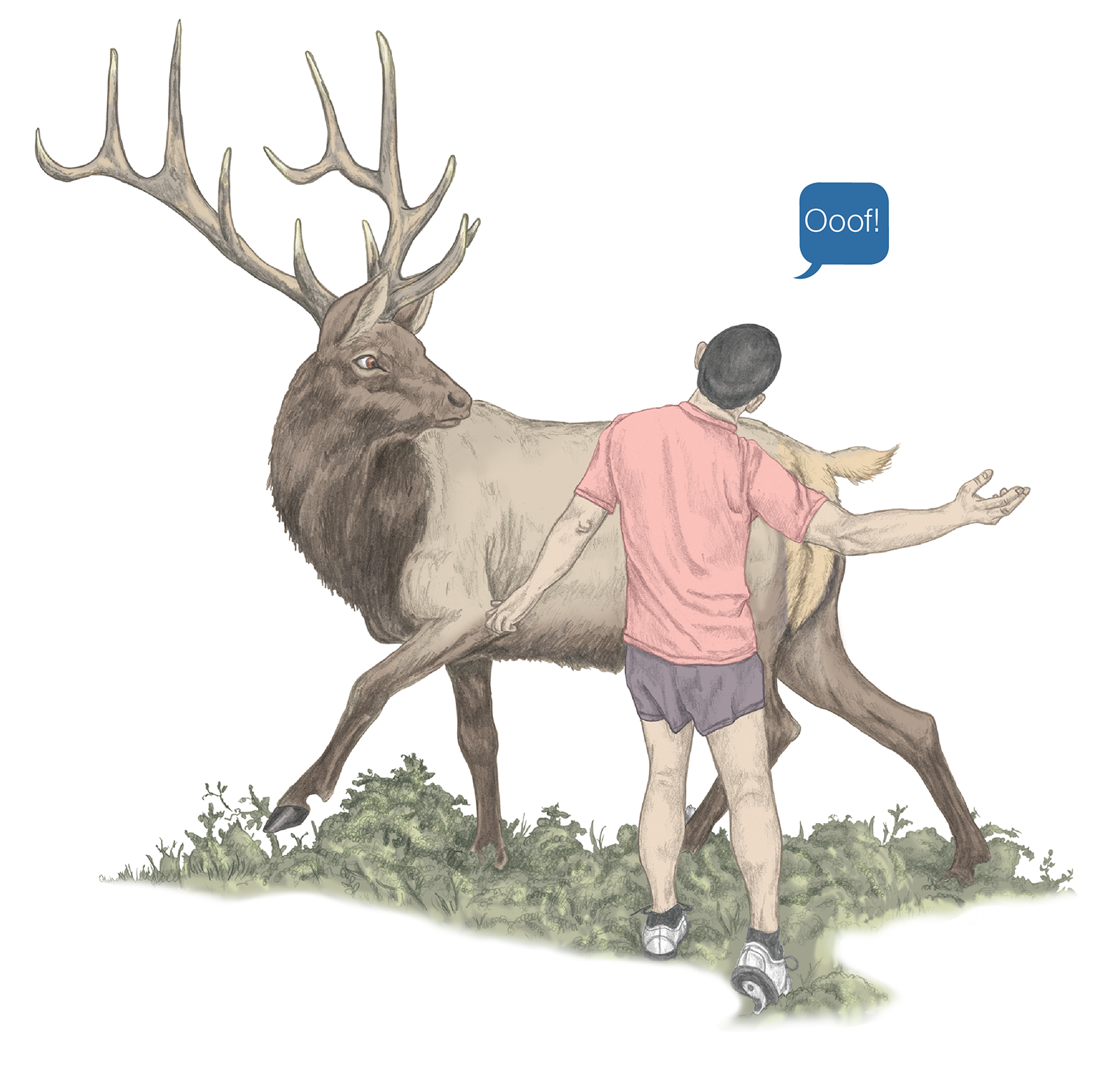 JF_15_Biomechanics1_Elk_1600 JF_15_Biomechanics1_Elk_1600