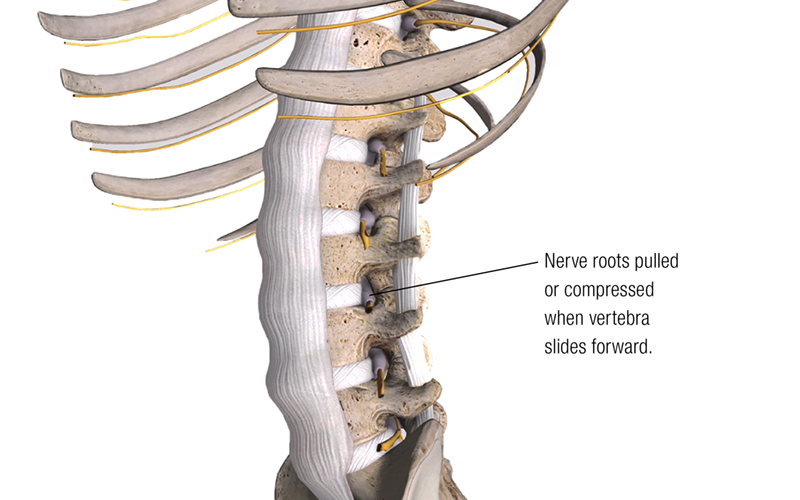 JF_19_ClinicalExplorations3_800