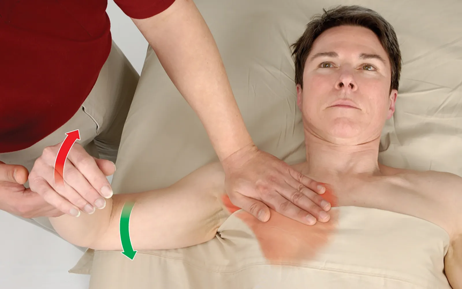 JF_15_FunctionalAnatomy_Secondary1_1600 JF_15_FunctionalAnatomy_Secondary1_1600