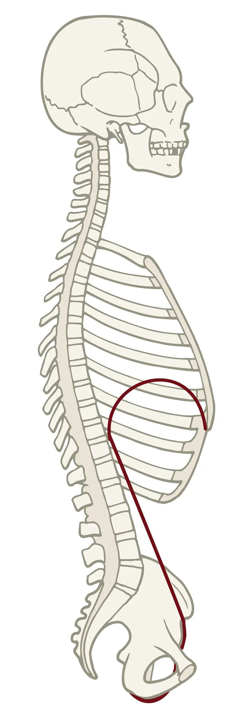 JF_19_CobraAtCore3A_800