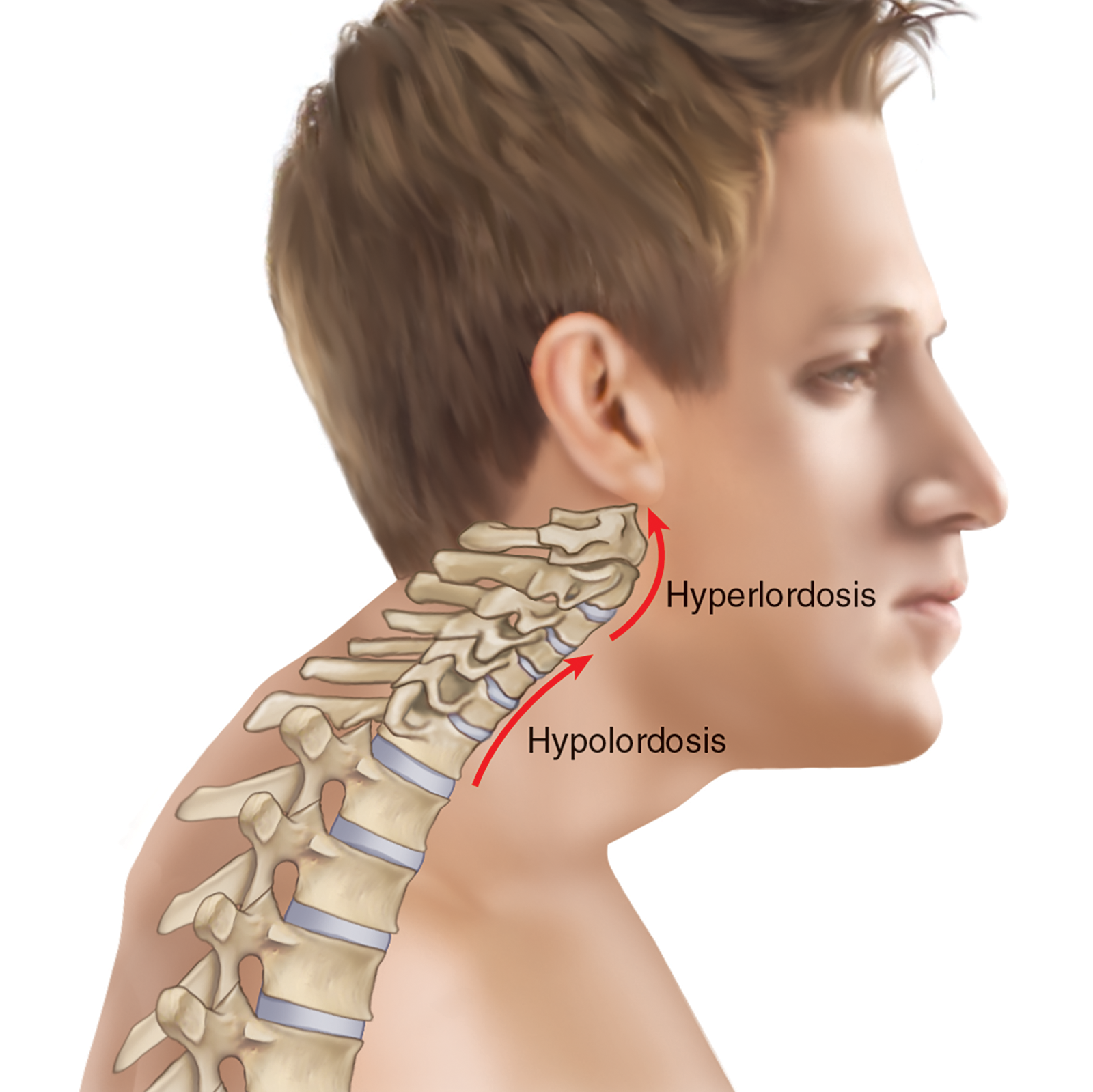 JA_16_ThoracicSpine4_1600 JA_16_ThoracicSpine4_1600