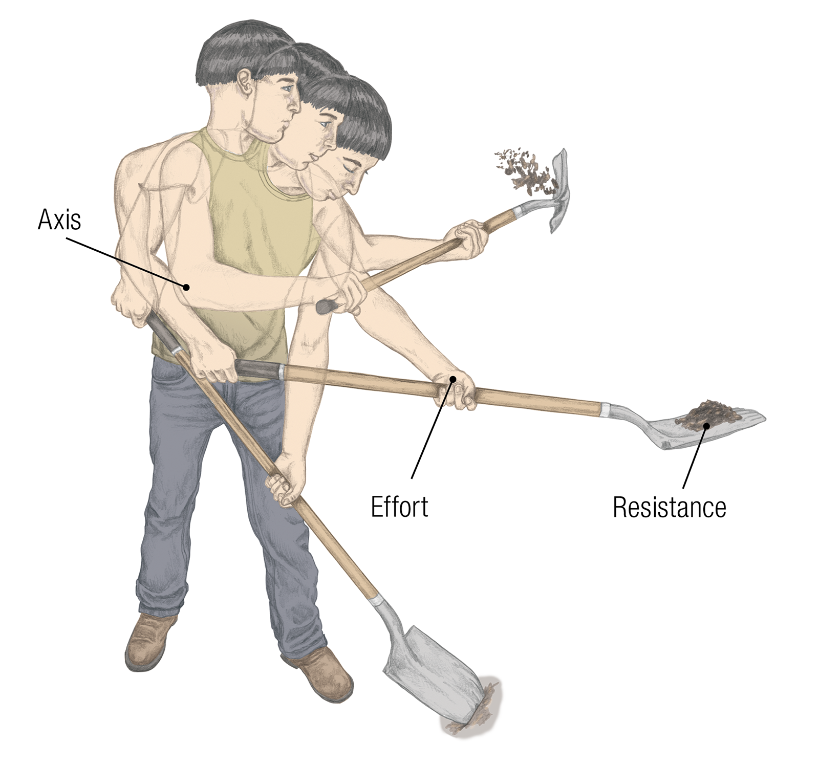 JF_15_Biomechanics22_ThirdClassShovel_1600 JF_15_Biomechanics22_ThirdClassShovel_1600