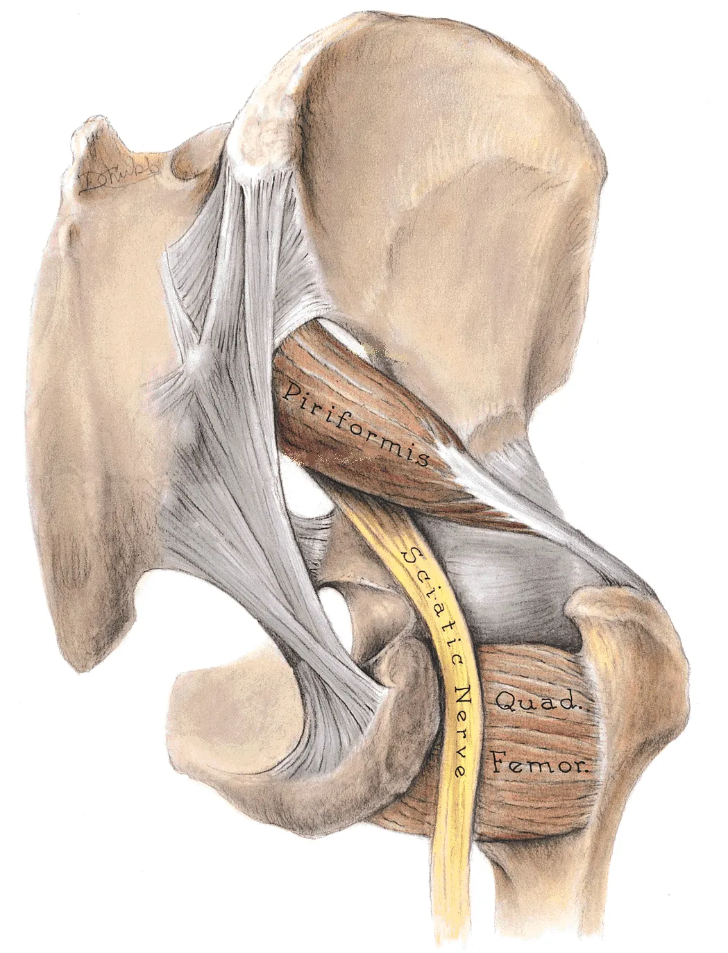 JA_15_ClinicalApps2_1600