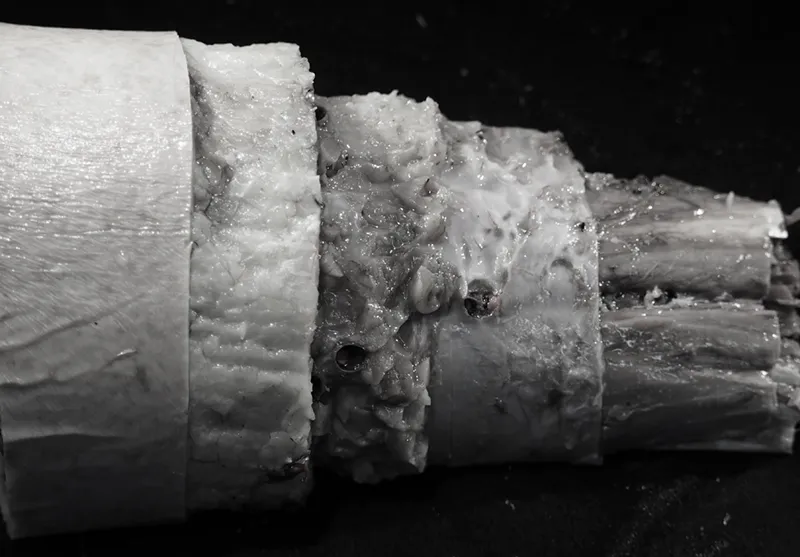 SO_18_HumanFascialPlastinationProject2_SteppedSpecimen_800