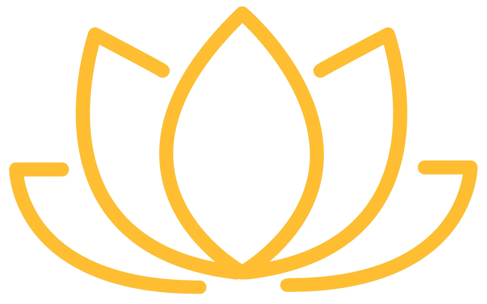 JA_16_Savvy_Lotus__1600 JA_16_Savvy_Lotus__1600