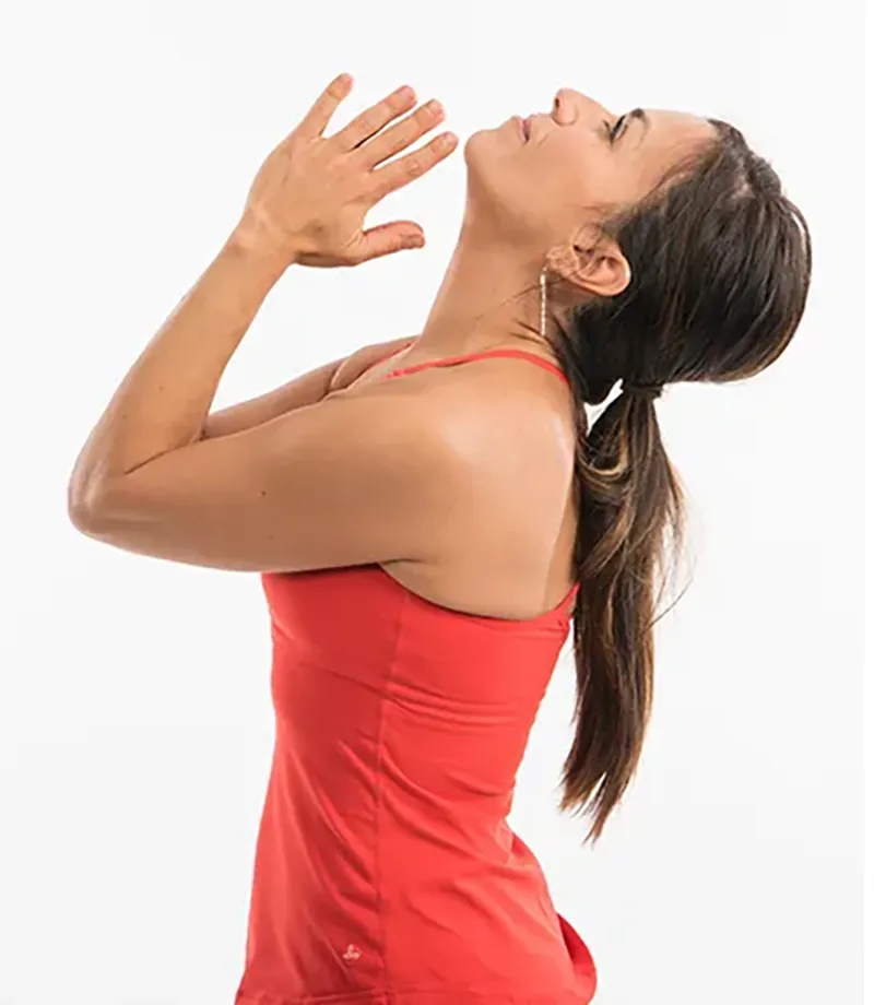 TLC for MTs: The Neck Extension2
