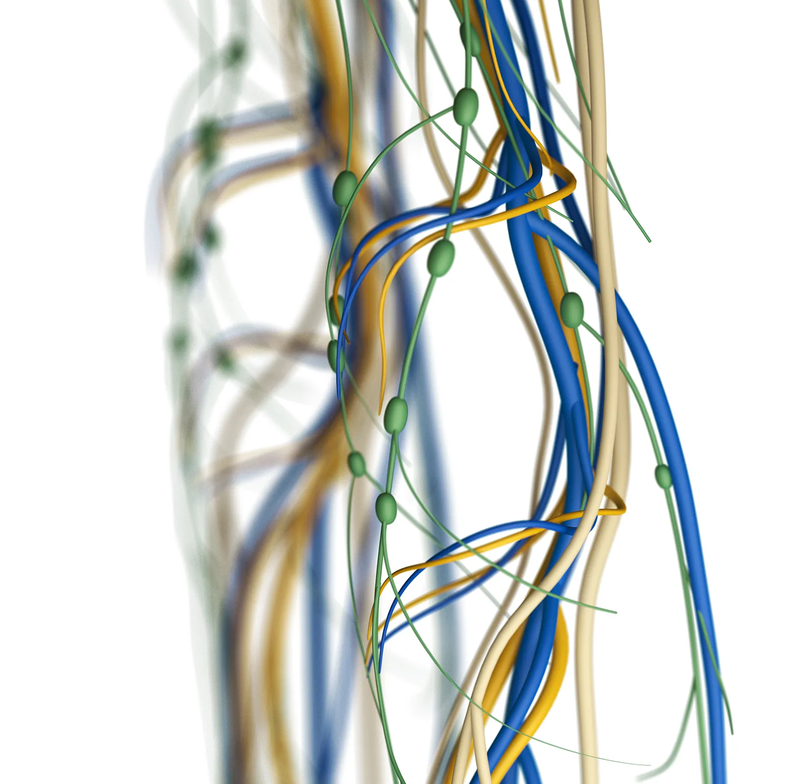 JA_19_LymphDrainageCancerPatients_iStock-579437846_1600