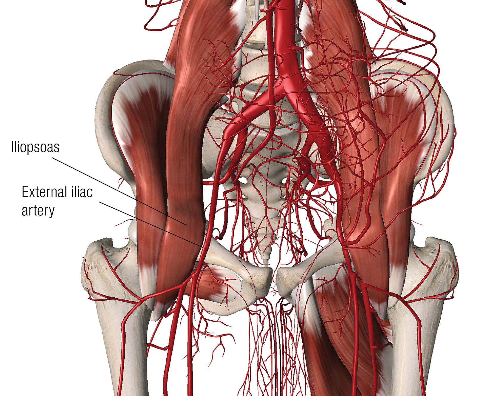 MA_15_ClinicalApps5_1600 MA_15_ClinicalApps5_1600