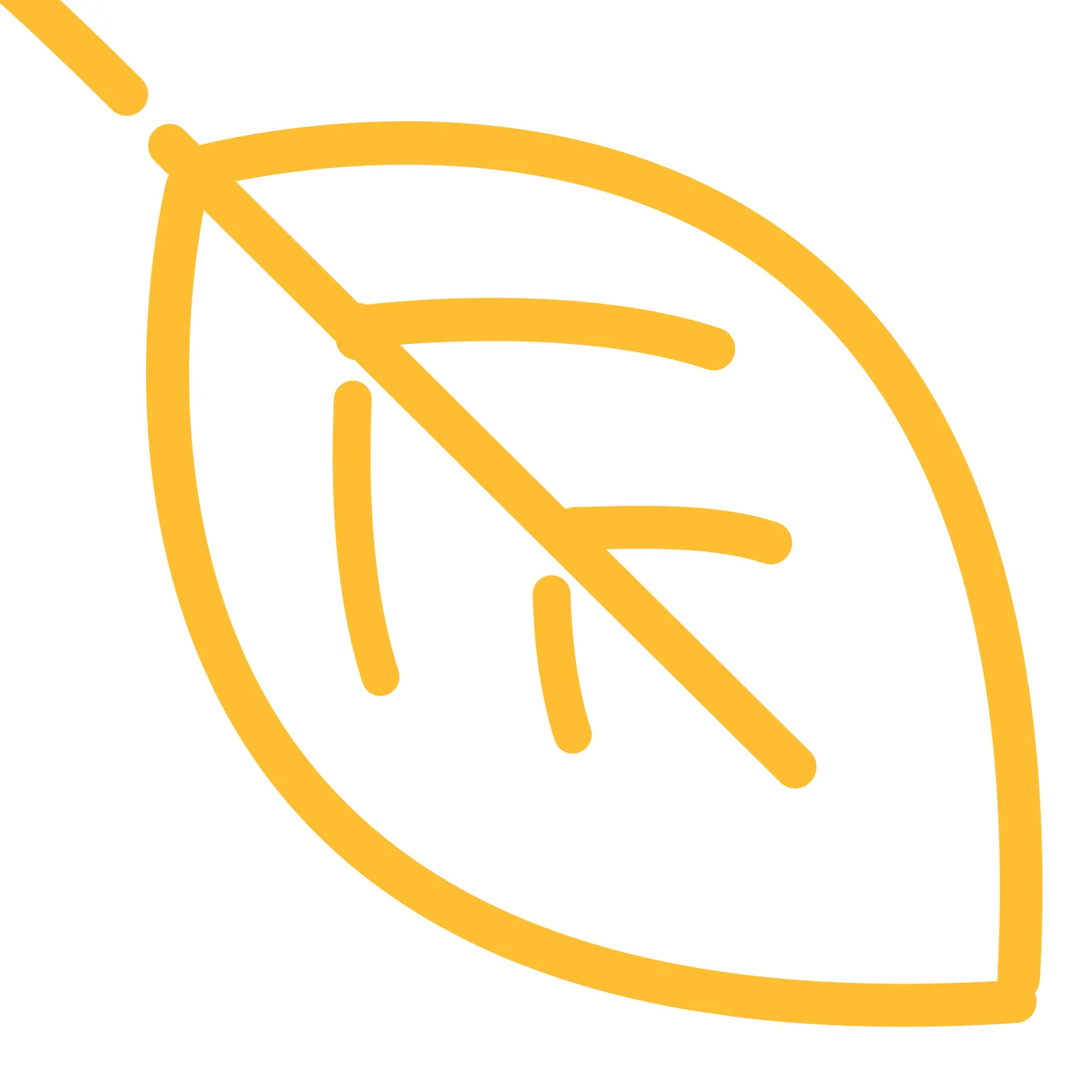 JA_16_Savvy_Leaf__1600 JA_16_Savvy_Leaf__1600