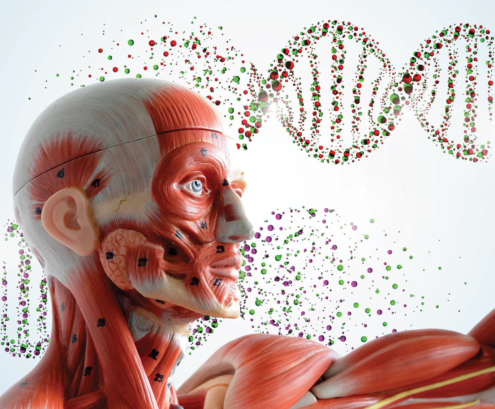 MA_14_SomaticResearch_Main_shutterstock_1600 MA_14_SomaticResearch_Main_shutterstock_1600