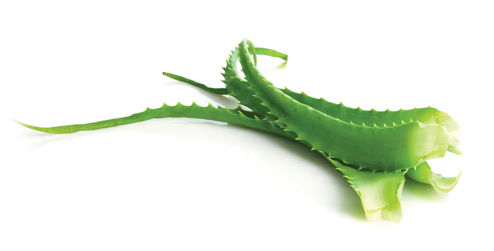 MJ_14_ClassClient_Secondary4_shutterstock_1600 MJ_14_ClassClient_Secondary4_shutterstock_1600