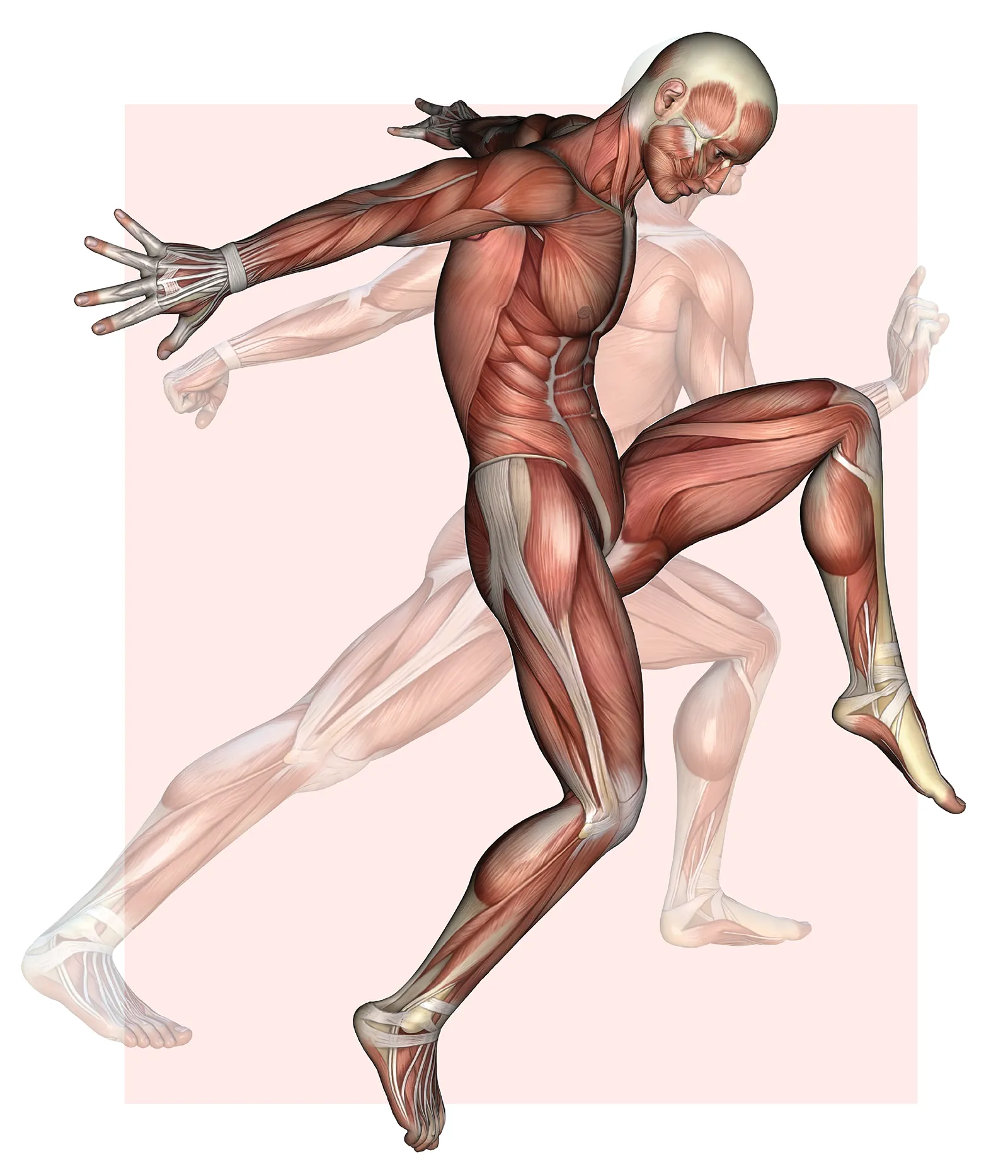 MJ_15_Fascia_Main_shutterstock_1600 MJ_15_Fascia_Main_shutterstock_1600