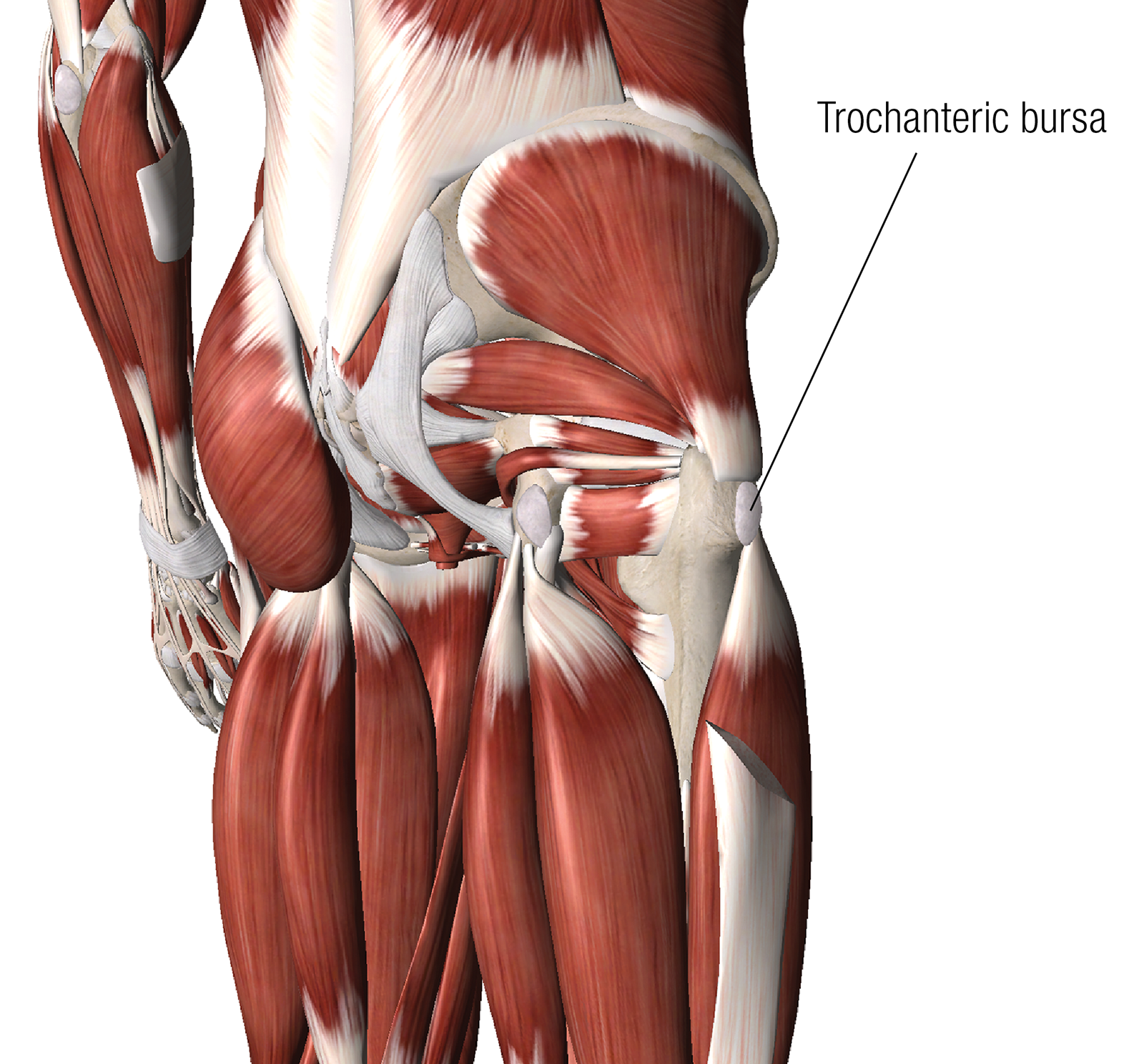 JA_15_ClinicalApps3_1600