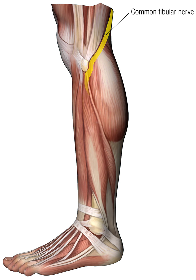 MJ20_Endangerment Sites10 MJ20_Endangerment Sites10