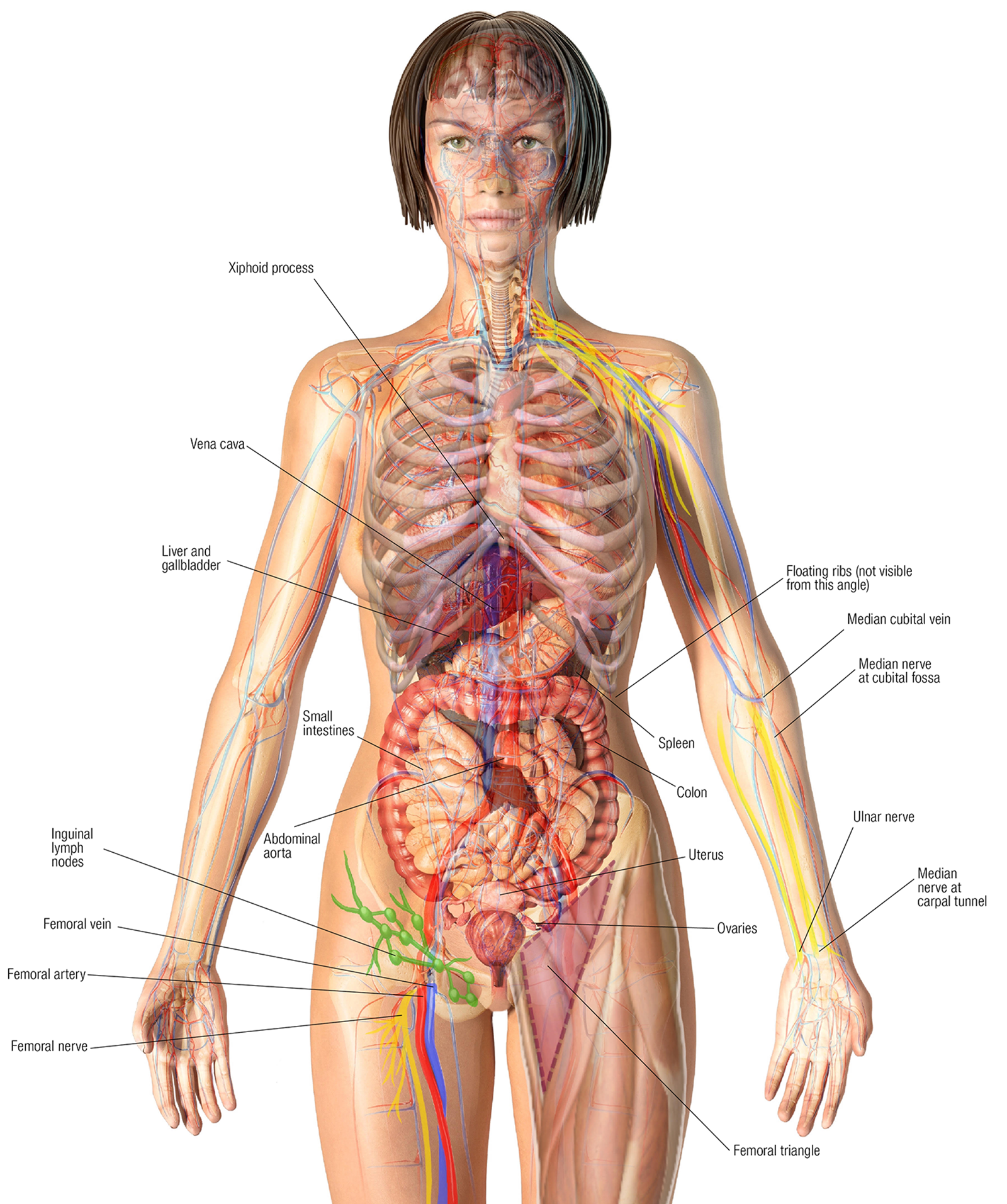 MJ20_Endangerment Sites5 MJ20_Endangerment Sites5
