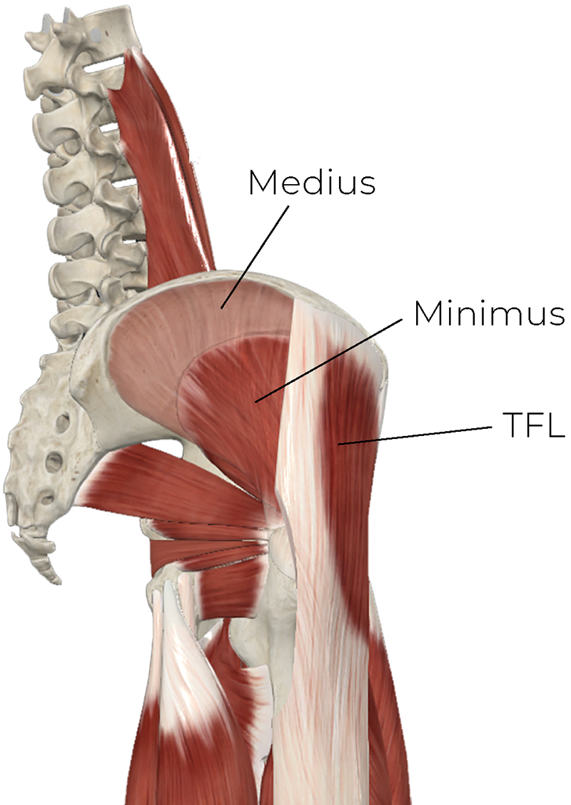 AUT_26_ClinicalExplorations2_CompleteAnatomy_800 AUT_26_ClinicalExplorations2_CompleteAnatomy_800