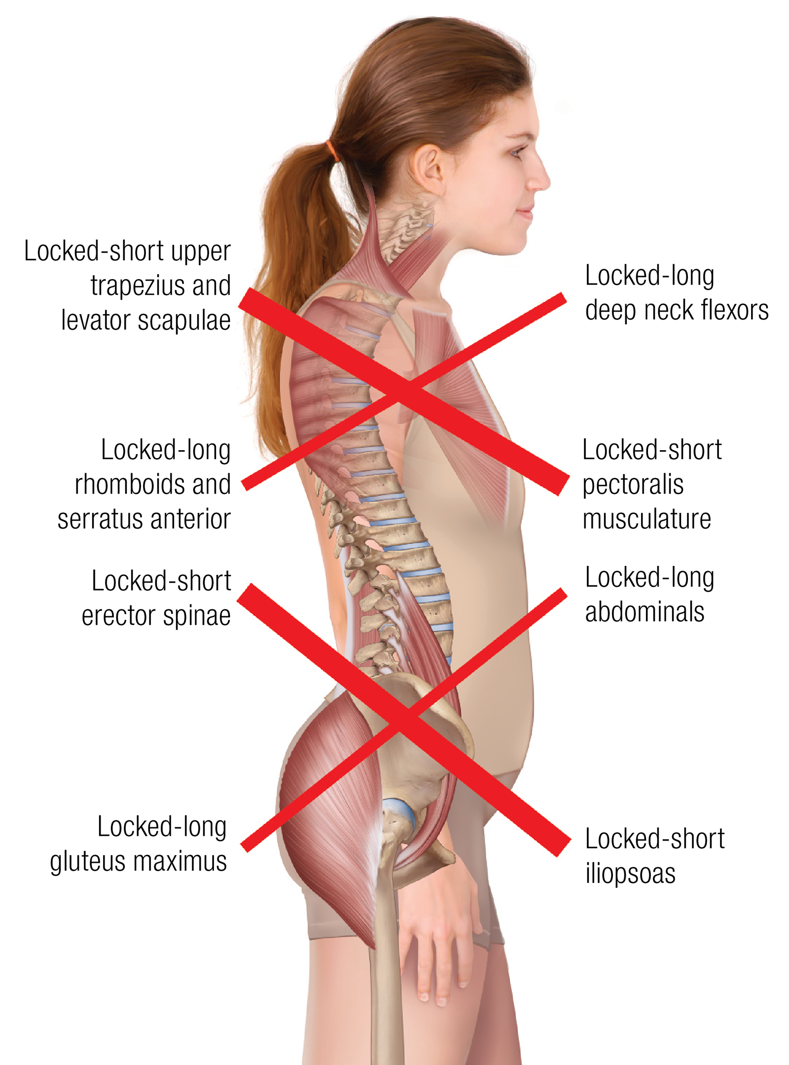 JA_16_ThoracicSpine3_1600 JA_16_ThoracicSpine3_1600