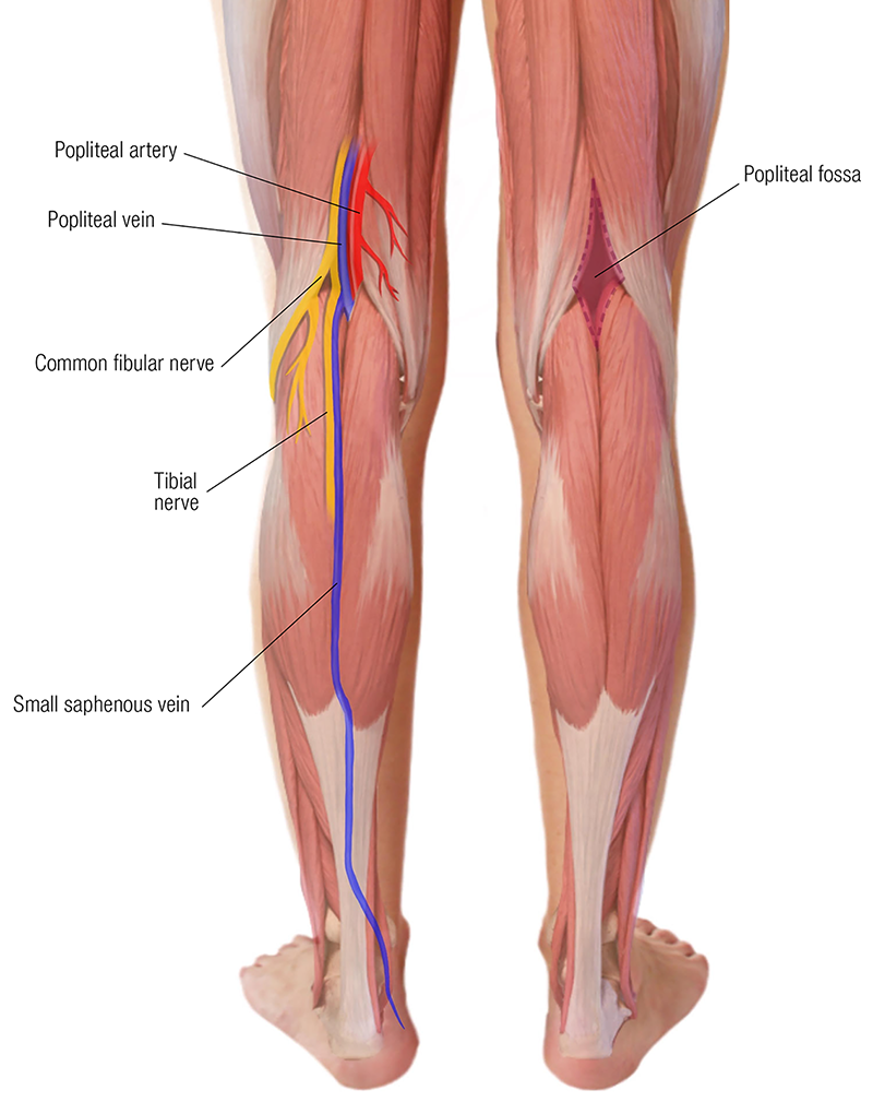 MJ20_Endangerment Sites8 MJ20_Endangerment Sites8