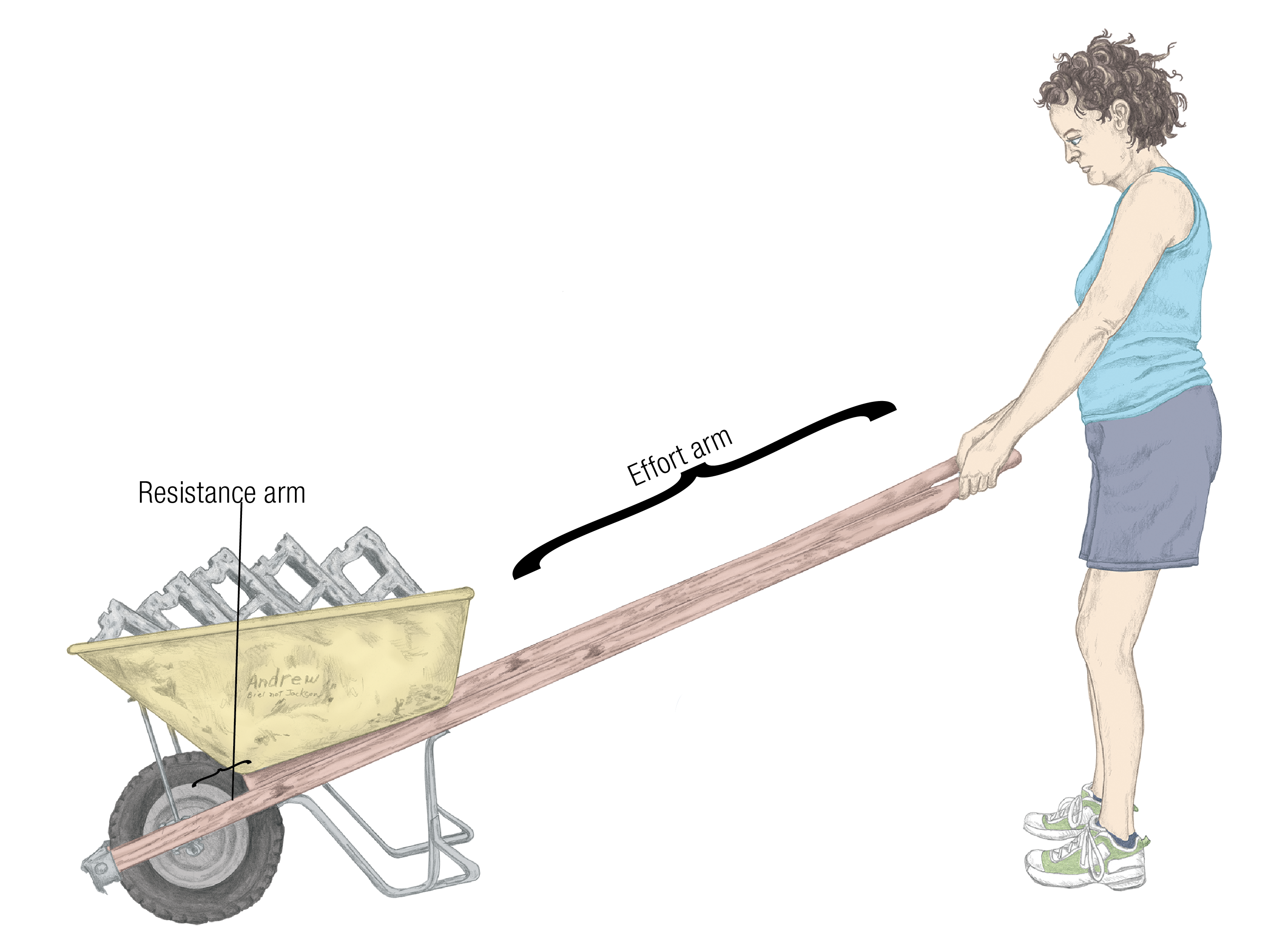JF_15_Biomechanics20_LongArmBarrel_1600 JF_15_Biomechanics20_LongArmBarrel_1600