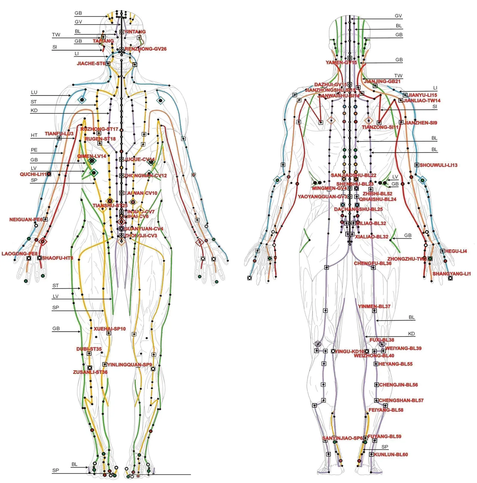 JA_16_CuppingTherapy_Secondary2_1600 JA_16_CuppingTherapy_Secondary2_1600