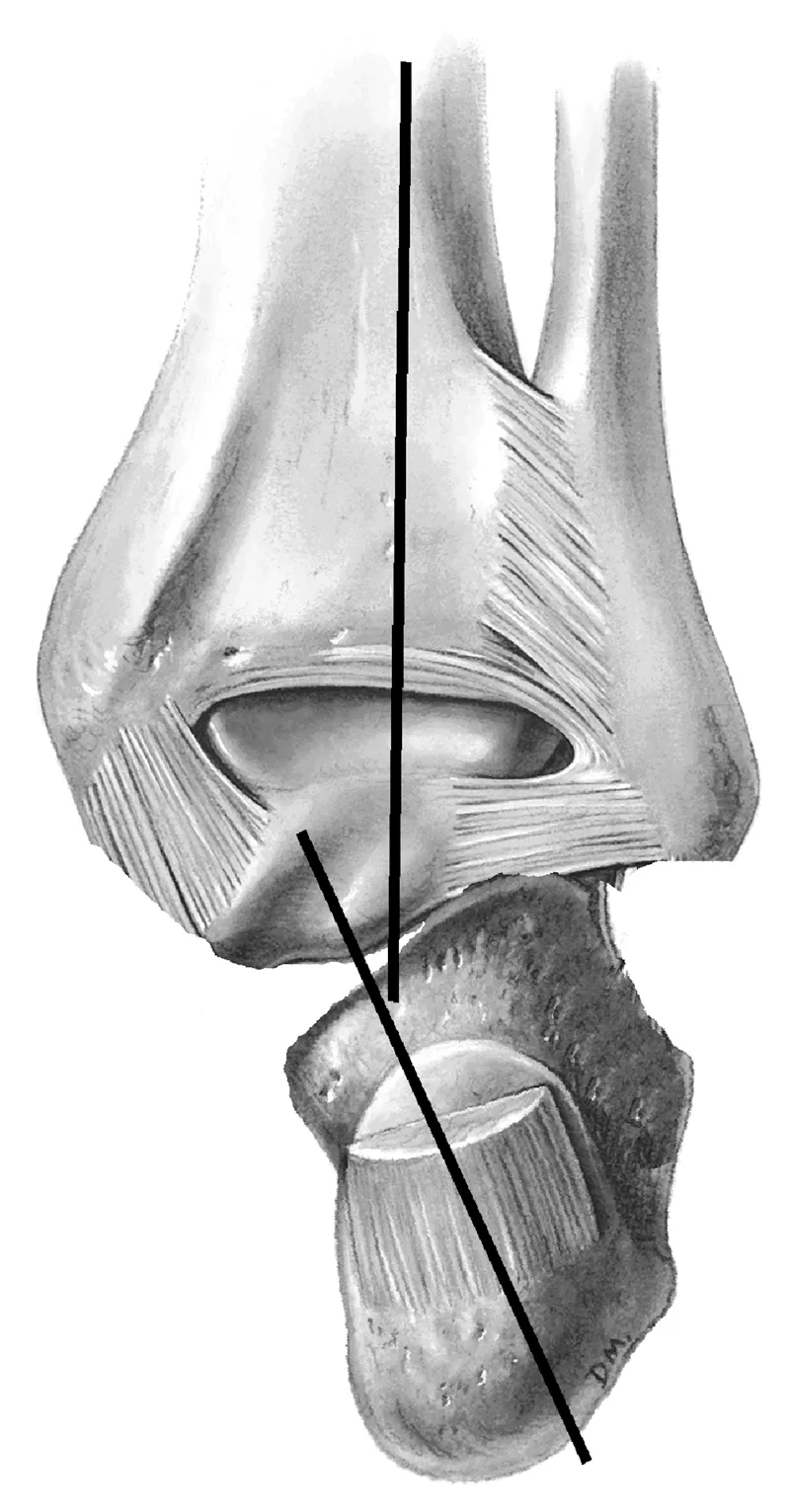 SO_18_ClinicalRelevance4