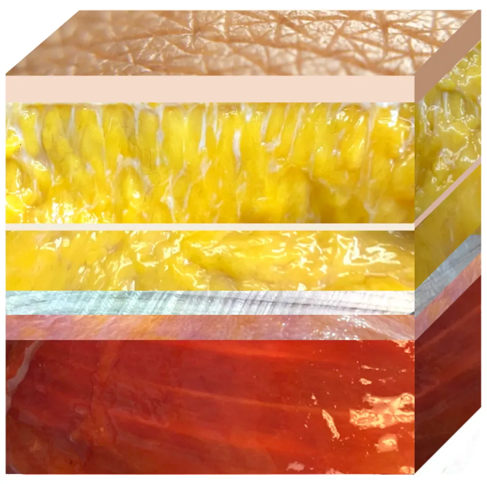 SUM_26_AnatomyForTouch3_AnatomySCAPESFROMSURFACETODEEP_OriginalCopyrightedArtwork_800 SUM_26_AnatomyForTouch3_AnatomySCAPESFROMSURFACETODEEP_OriginalCopyrightedArtwork_800
