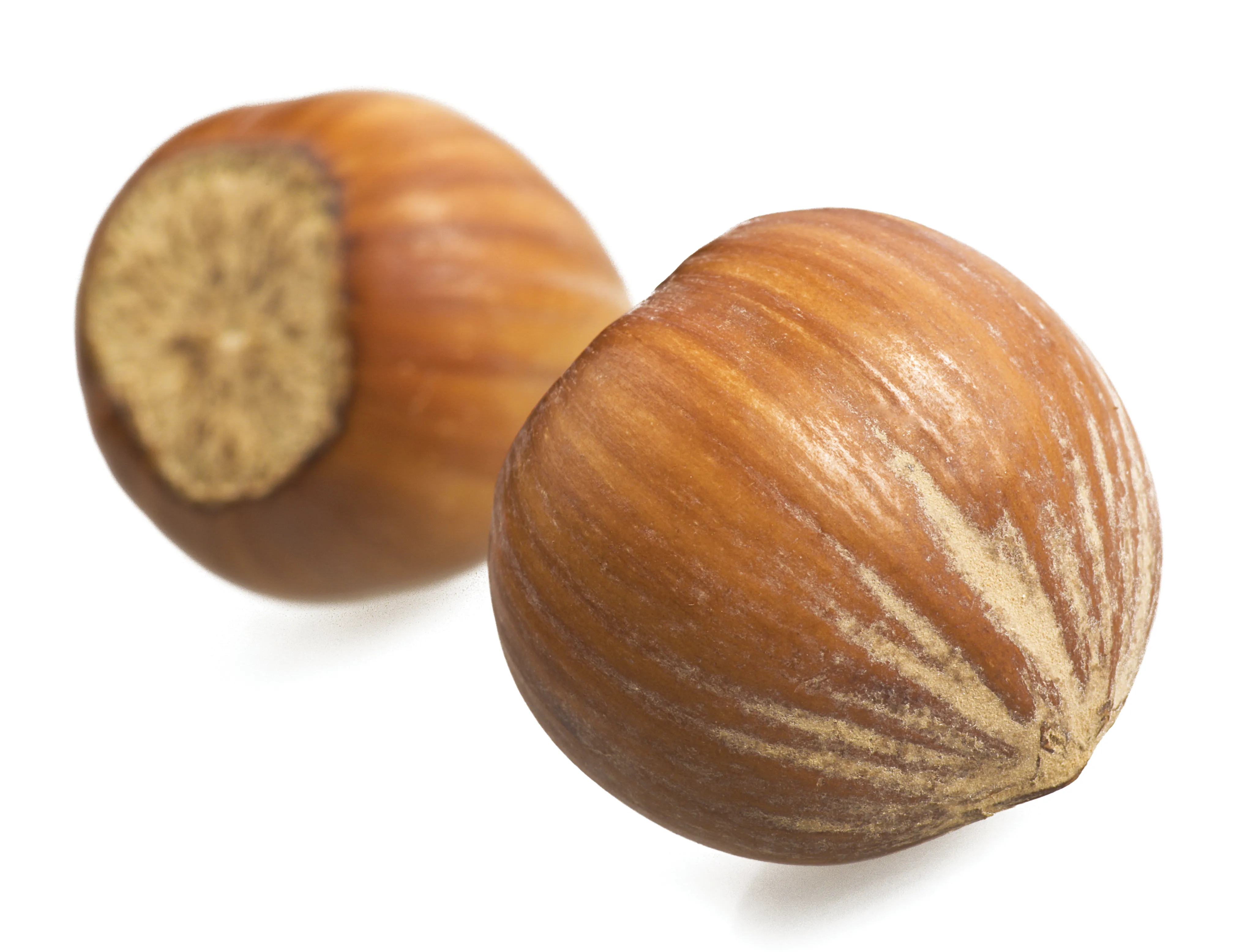 MJ_14_ClassClient_Secondary1_shutterstock_1600 MJ_14_ClassClient_Secondary1_shutterstock_1600