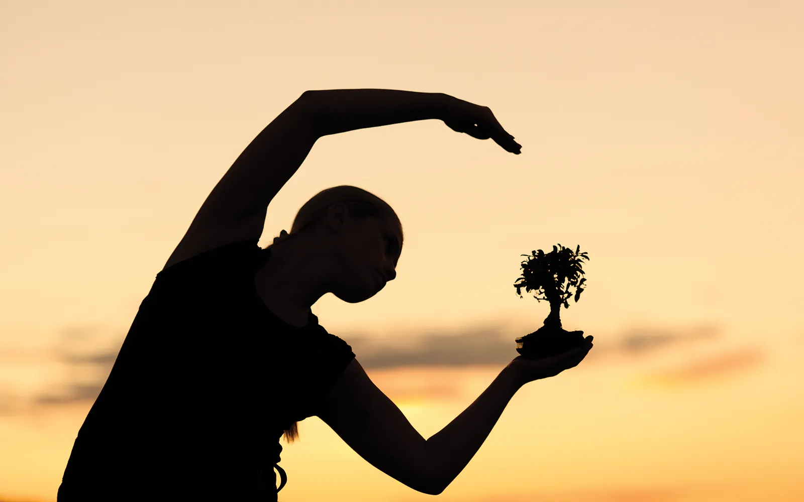JA_16_Nurturing_Secondary2_iStock_1600 JA_16_Nurturing_Secondary2_iStock_1600