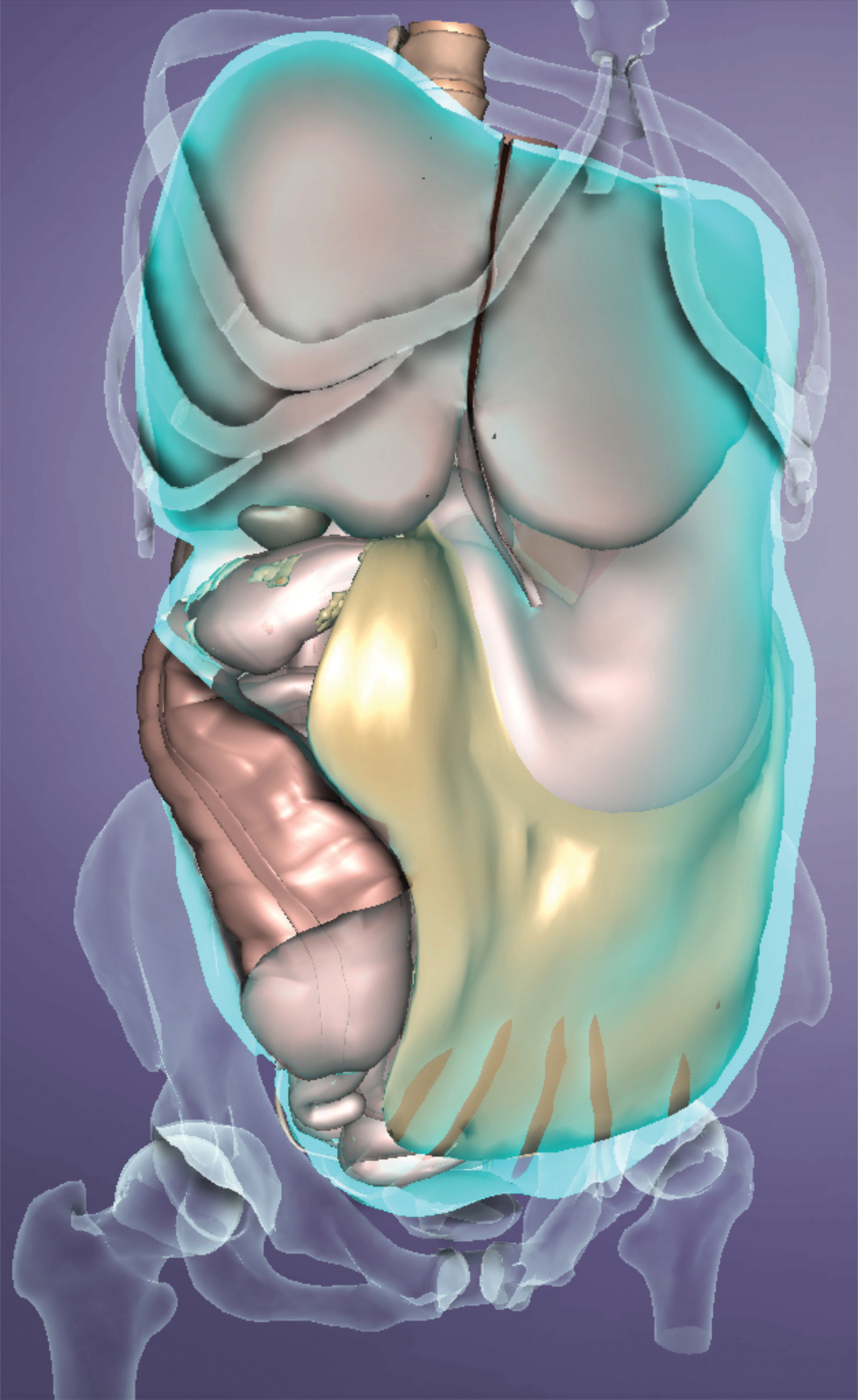 MA_15_Myofascial5_1600 MA_15_Myofascial5_1600