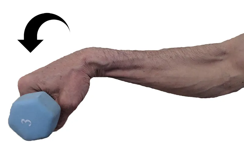 SO19_Current Views on Lateral Epicondylitis2