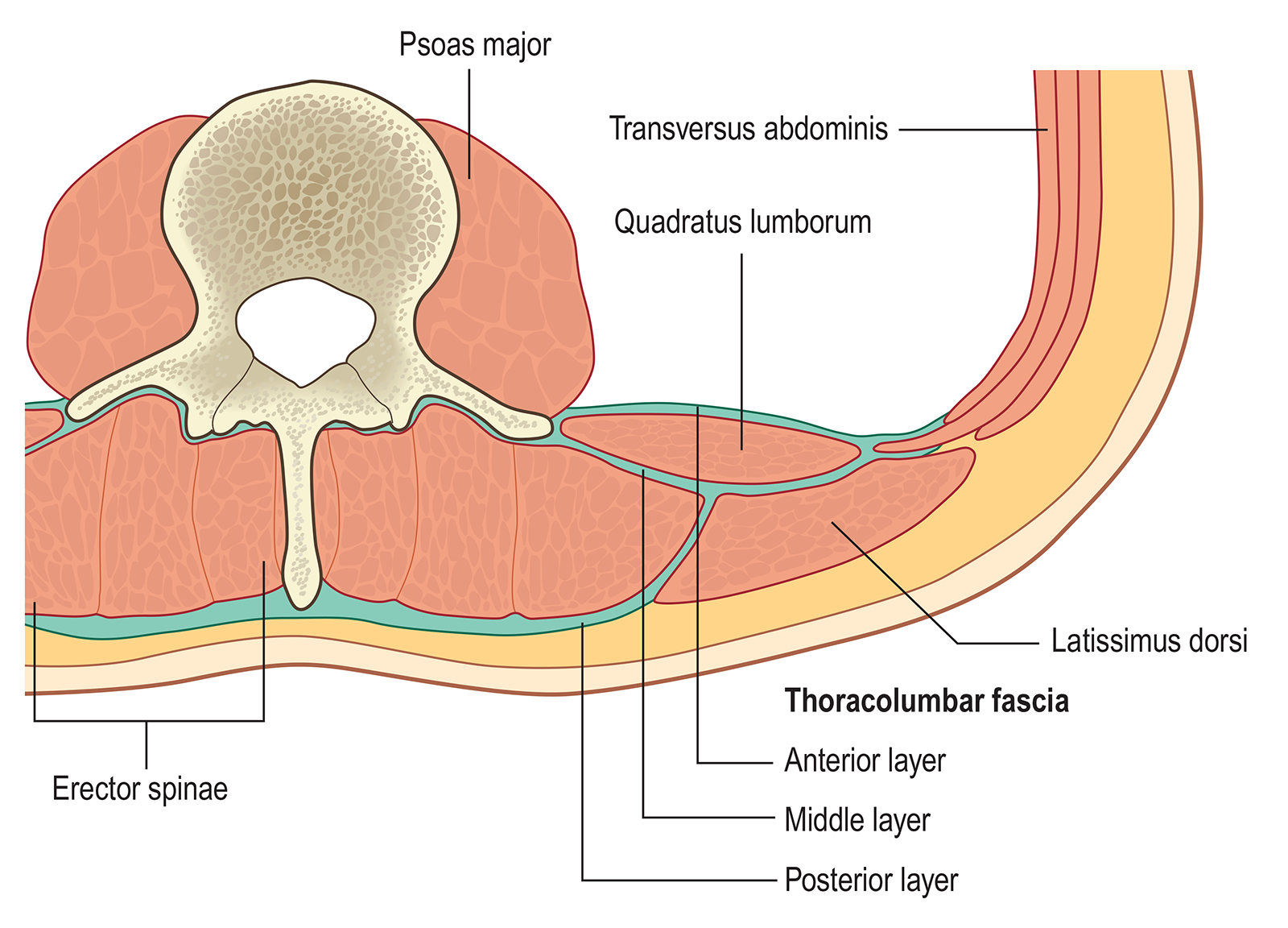 MJ_15_Fascia1_1600 MJ_15_Fascia1_1600