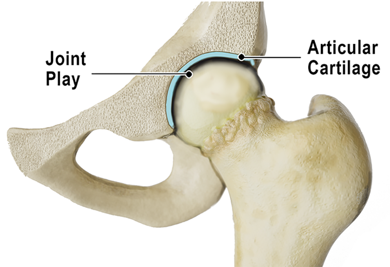 JA20_Bones as Levers1
