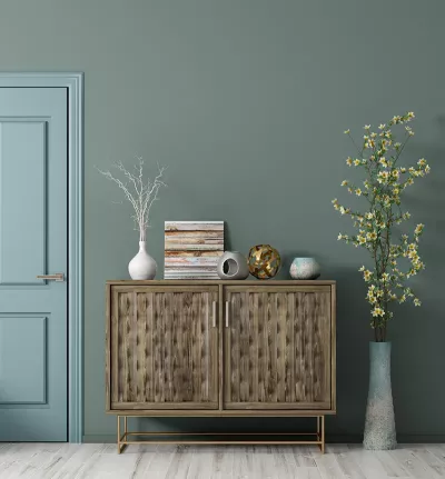 a muted green wall with a teal door and a dresser and plant decor.
