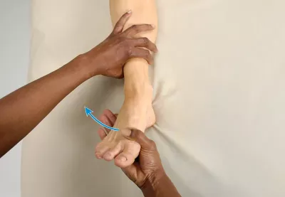 an MT's hands passively stretch a client's flexor retinaculum in the lower foot.