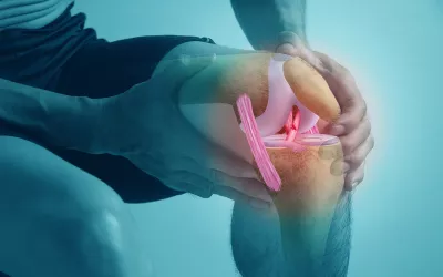 A person grabs their knee while the illustration shows inner tendons.