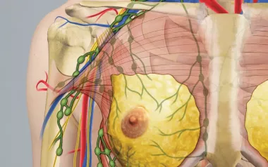 thoracic outlet, scapula, clavicle, and pectoral muscles on a diagram.