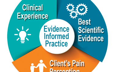 a circle chart divided in thirds, showing clinical experience in one third, best scientific evidence in the second third, and client's pain perception in the last third.