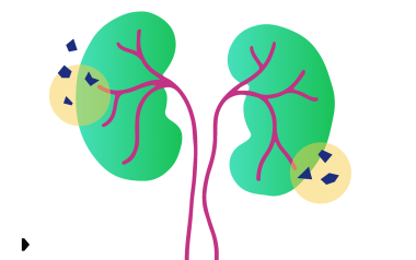 Cartoon illustration of two human kidneys.