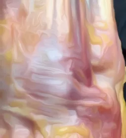 Extensor retinaculum of the right hand.