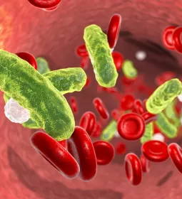 green bacteria floating around red and white blood cells in the body.