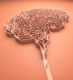 A person walks toward a pink maze shaped like a brain.