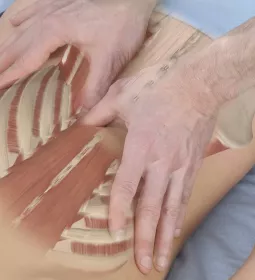 Two hands treating the lumbar paraspinal muscles.