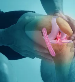 A person grabs their knee while the illustration shows inner tendons.