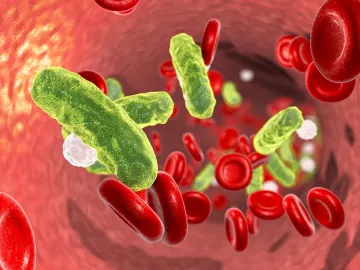 green bacteria floating around red and white blood cells in the body.