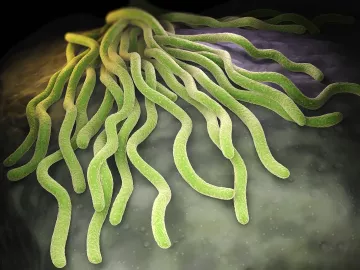 Glowing green, worm-like structures move across the page.